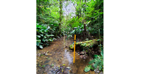 Topografia, Regularização, Retificação, Usucapião, Georreferenciamento